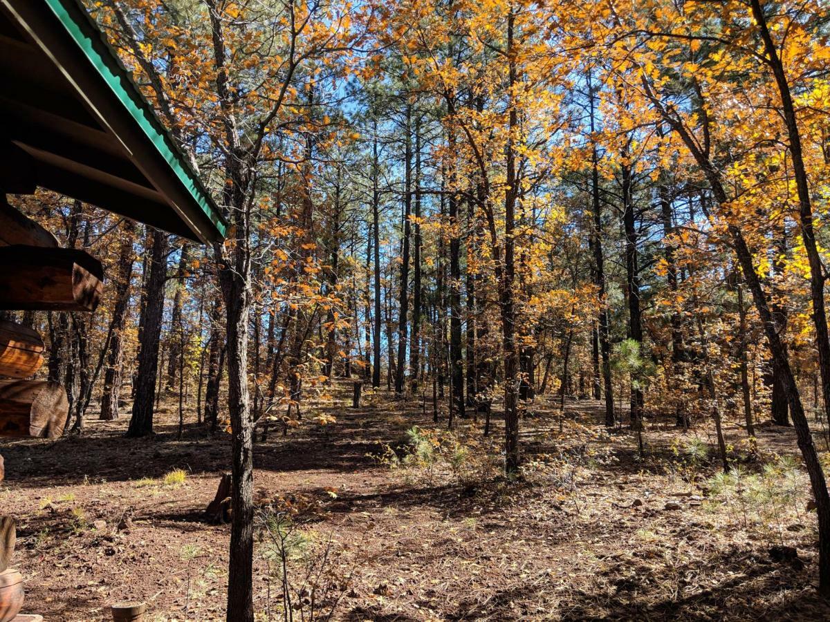 Cozy Cub Log Cabin - Year Round Tranquil Beauty Pinetop-Lakeside Exterior foto