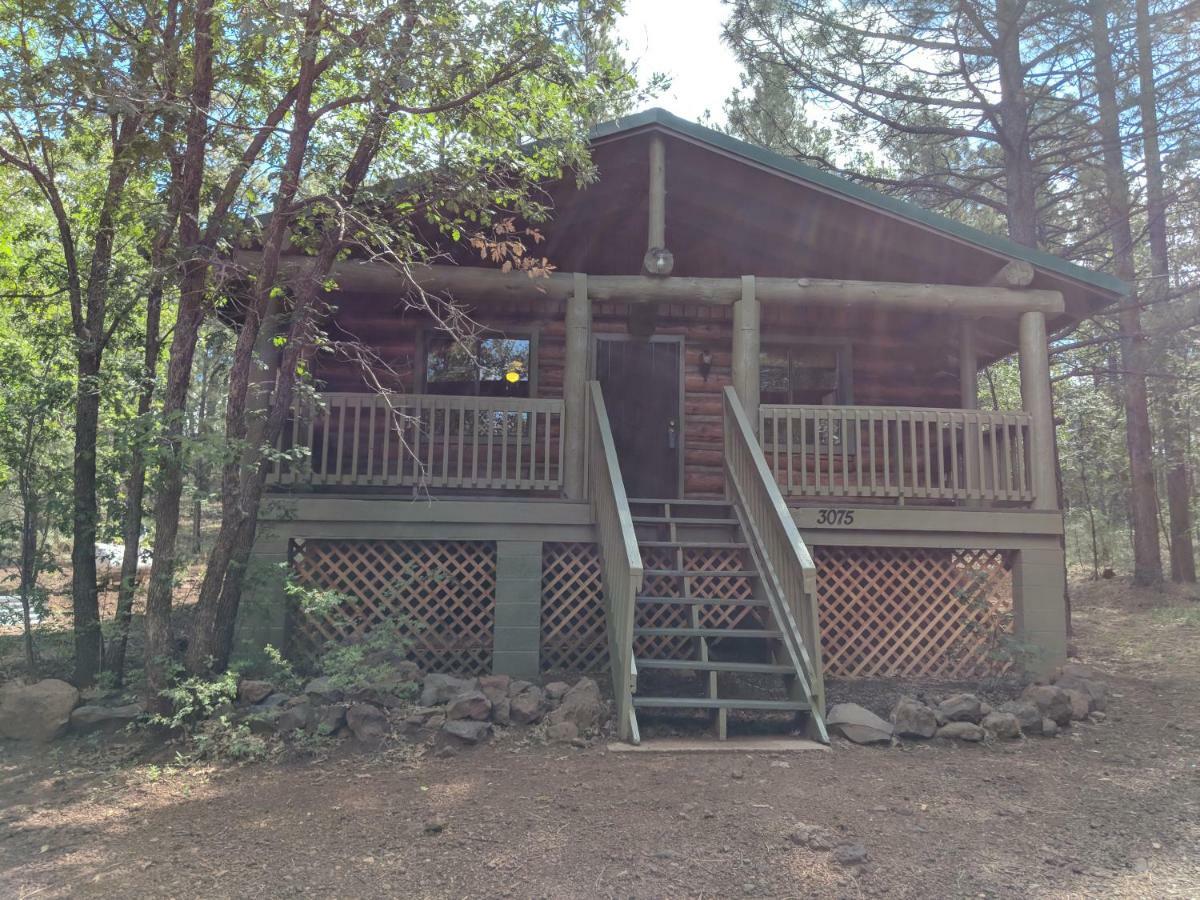 Cozy Cub Log Cabin - Year Round Tranquil Beauty Pinetop-Lakeside Exterior foto